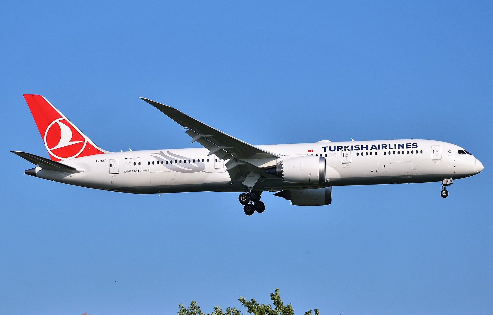 מטוס 787 של טורקיש איירליינס