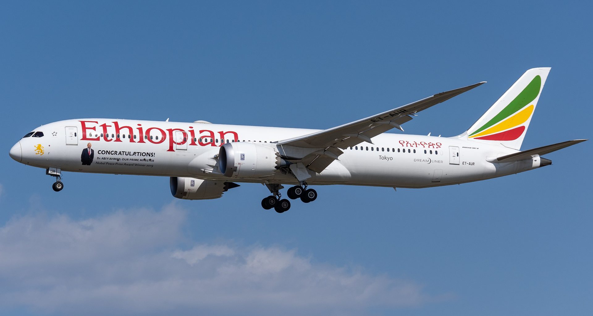 מטוס 787 של אתיופיאן איירליינס. תמונה: ויקימדיה, N509FZ